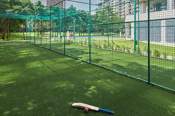 Cricket Net